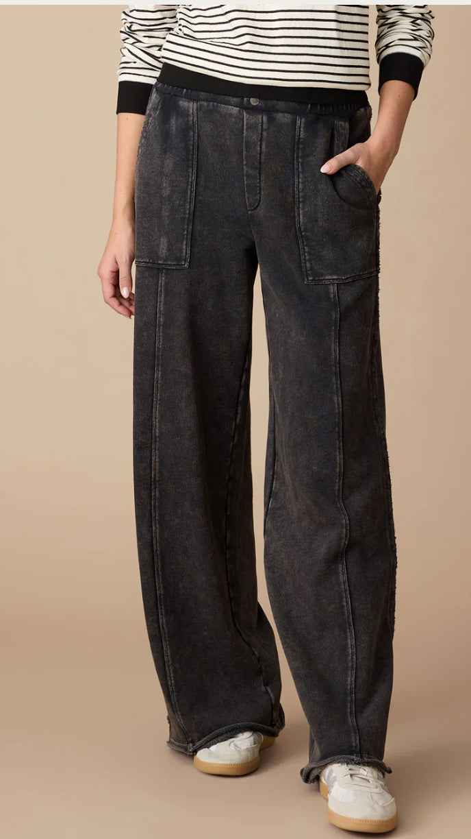 Dolly utility pant-Flag and anthem