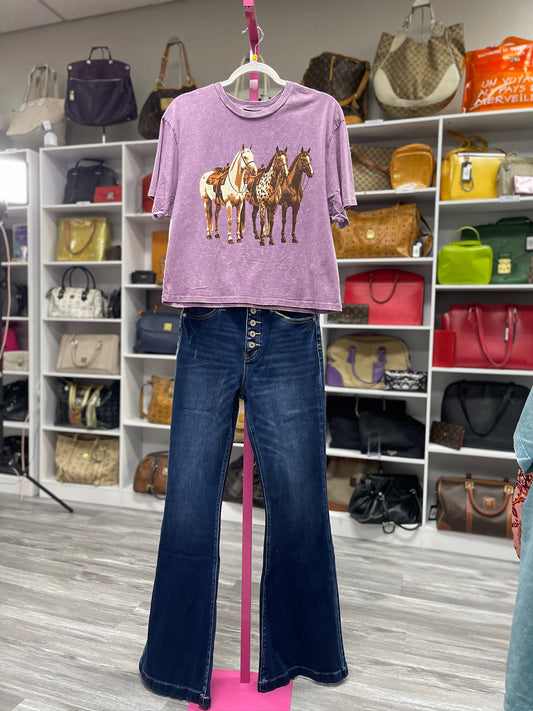 Horse trio western graphic Zutter